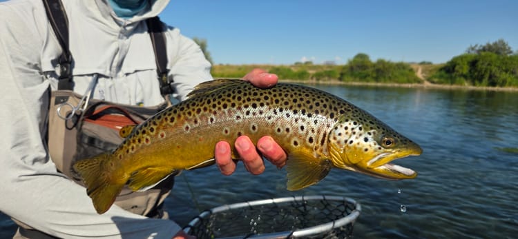 It's Not The Years. It's the Miles.